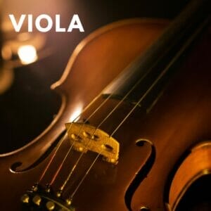 Viola Private Lessons