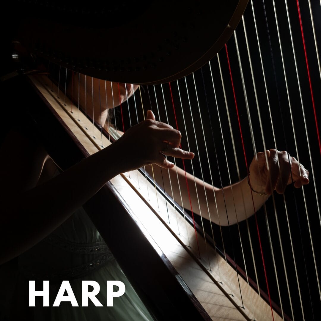 Harp